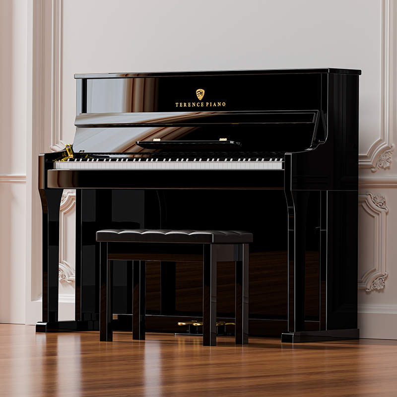 探索特倫斯電鋼琴的魅力世界